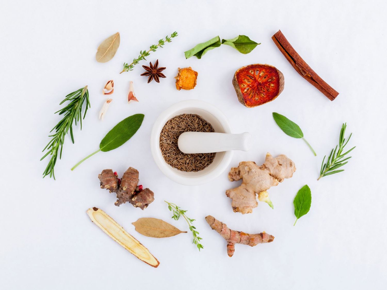 What are Terpenes? - A Guide to Cannabis