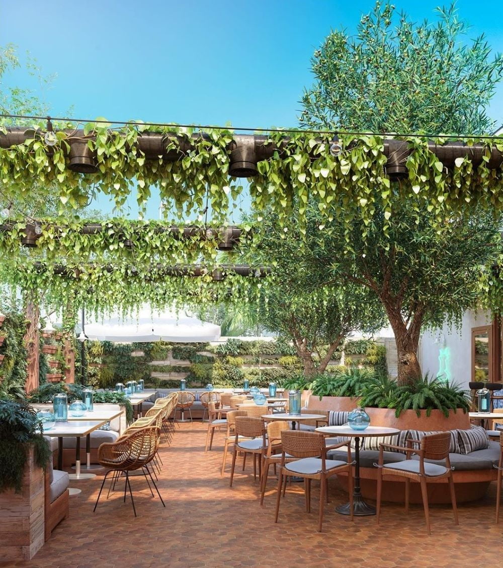 A Cannabis Cafe in California - The Nation's First Cafe