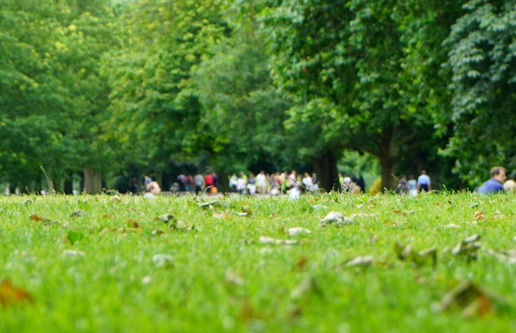 Cannabis Social Clubs - The Most Active Groups in the UK