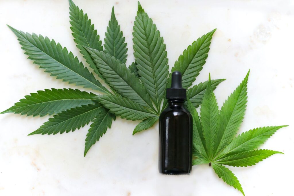 CBD Health - Can CBD Oil Reduce Food Cravings