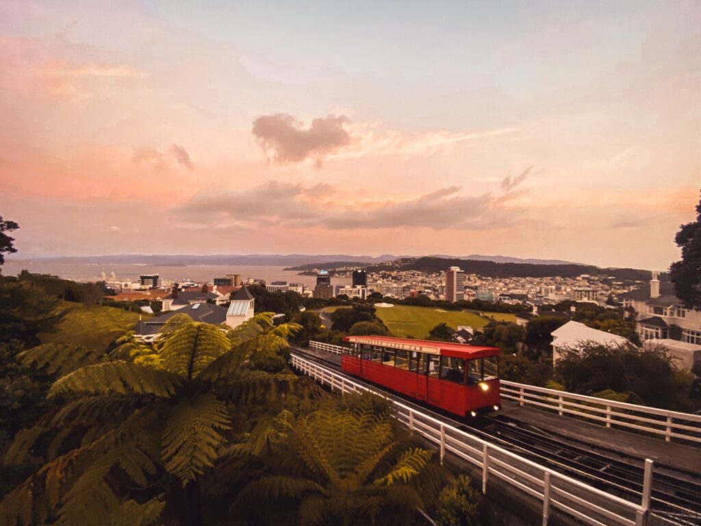 NZ Green Party Pushing for Cross-Party Bill on Cannabis Decriminalisation