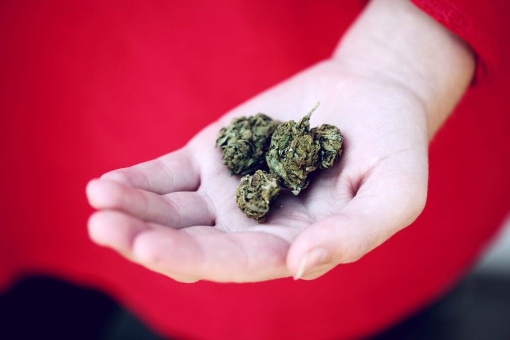The US towns and counties opting out of cannabis legalisation