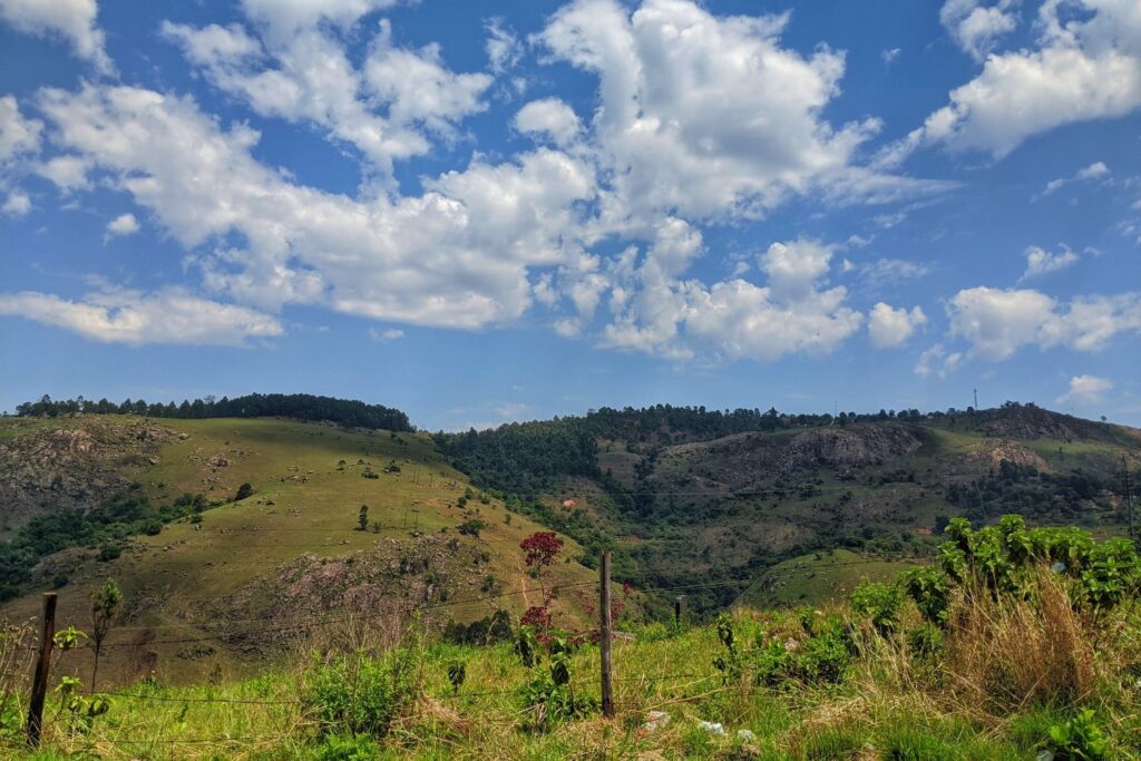 The Grandmothers growing cannabis to make ends meet in Africa's last Absolute Monarchy