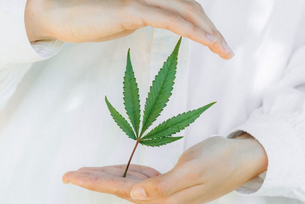 Sapphire Medical Clinics expands patient access to cheapest medical cannabis fees in UK